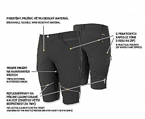 FOBOS Shorts black