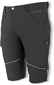 FOBOS Shorts black